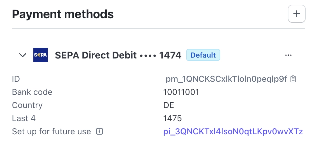 Payment Method information for a SEPA direct debit payment, showing a 'Set up for future use' link